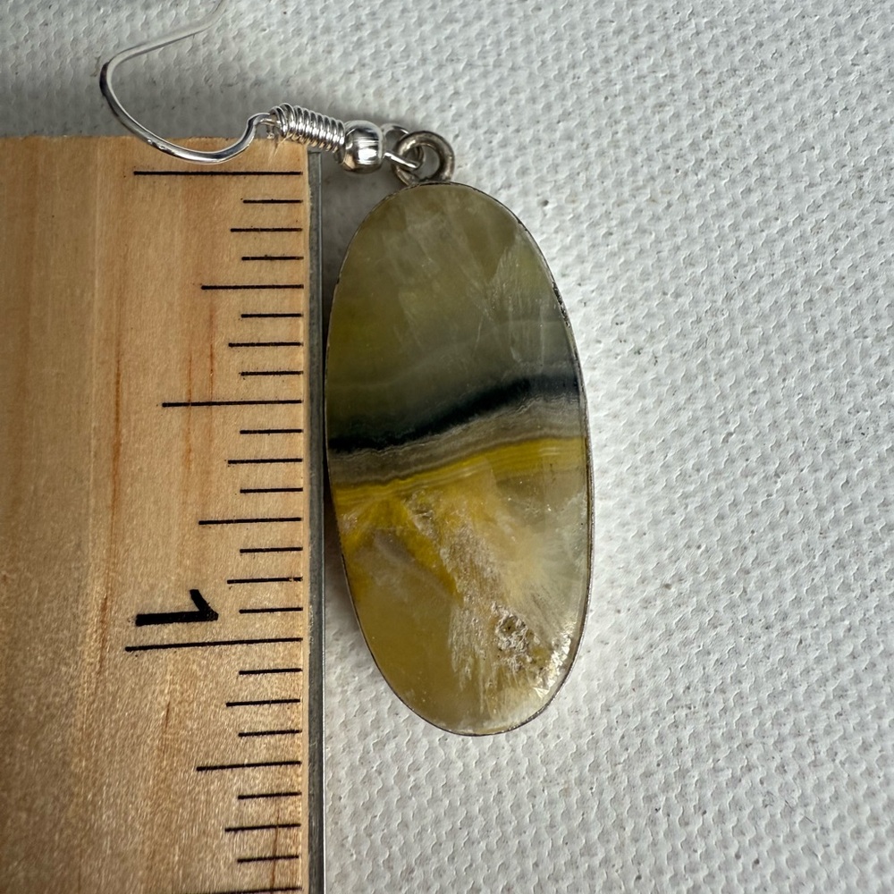 Bumblebee Jasper Dangle Oval Earrings - image 4